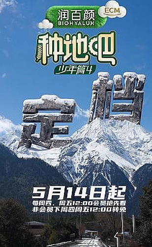 狂飙影视封面